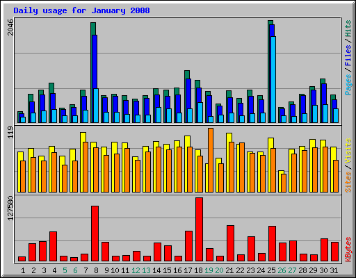 Daily usage for January 2008