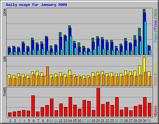 Daily usage for January 2009