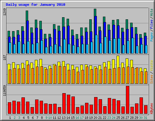 Daily usage for January 2010