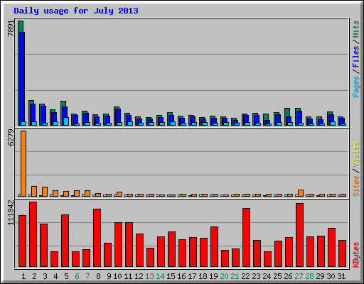 Daily usage for July 2013