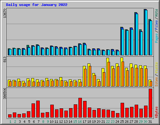 Daily usage for January 2022