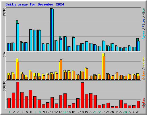 Daily usage for December 2024