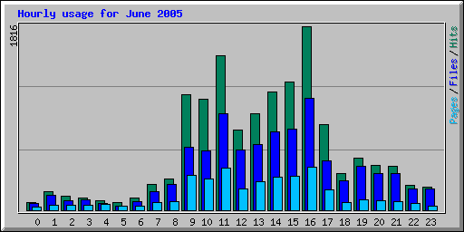 Hourly usage for June 2005