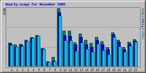 Hourly usage for November 2005