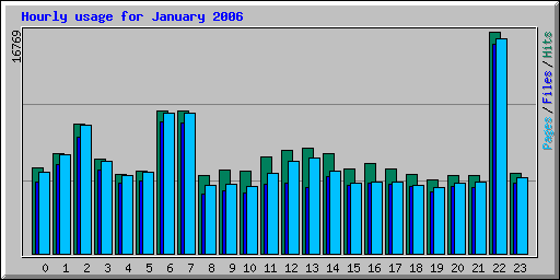 Hourly usage for January 2006