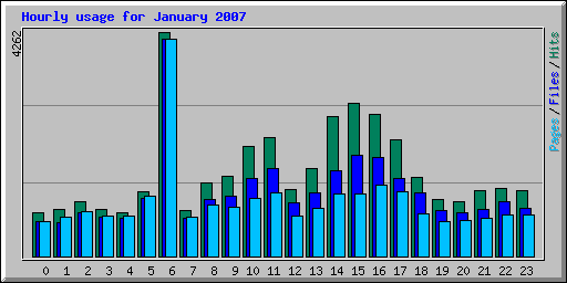 Hourly usage for January 2007