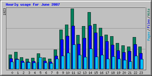 Hourly usage for June 2007