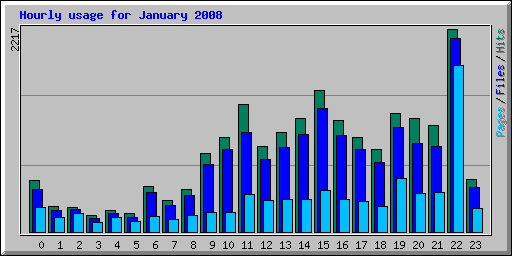 Hourly usage for January 2008