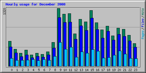 Hourly usage for December 2008