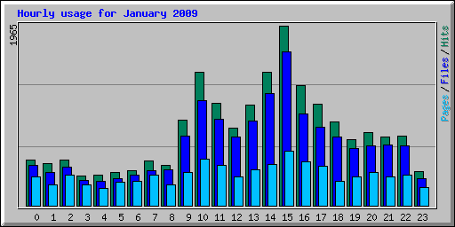 Hourly usage for January 2009