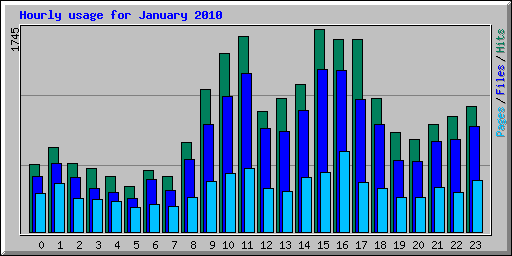 Hourly usage for January 2010