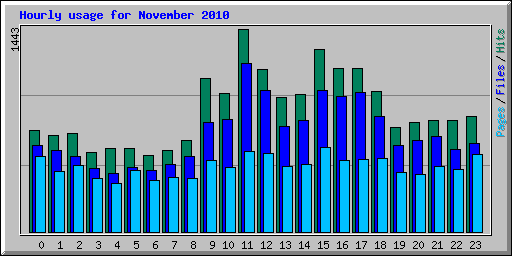 Hourly usage for November 2010