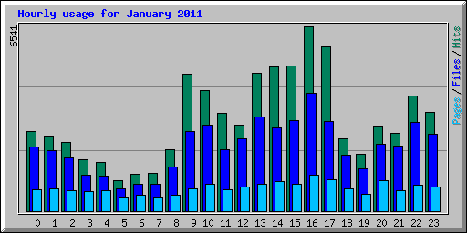 Hourly usage for January 2011