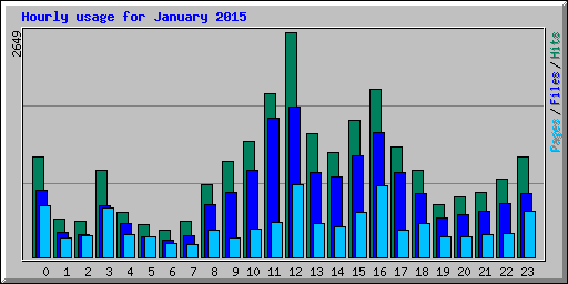 Hourly usage for January 2015