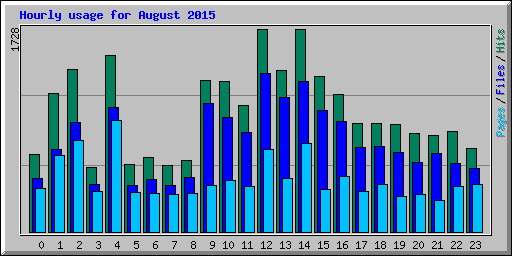 Hourly usage for August 2015
