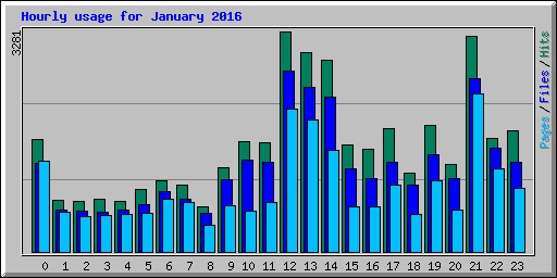 Hourly usage for January 2016
