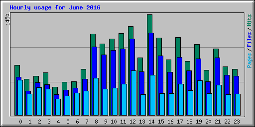 Hourly usage for June 2016