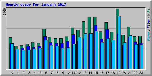 Hourly usage for January 2017