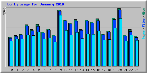 Hourly usage for January 2018