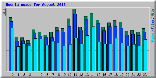 Hourly usage for August 2018