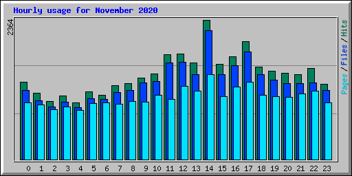Hourly usage for November 2020