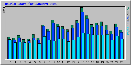 Hourly usage for January 2021