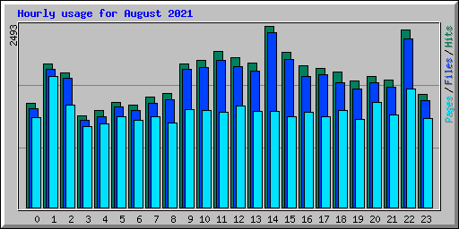 Hourly usage for August 2021
