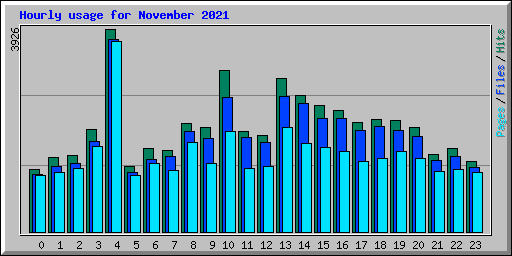 Hourly usage for November 2021