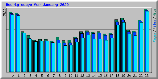 Hourly usage for January 2022