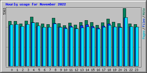 Hourly usage for November 2022