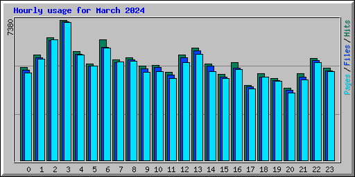 Hourly usage for March 2024