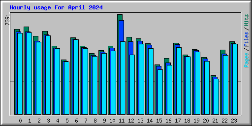 Hourly usage for April 2024