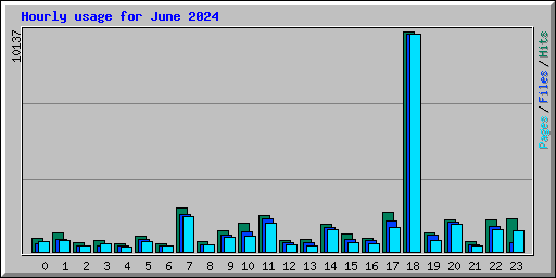 Hourly usage for June 2024