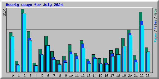 Hourly usage for July 2024