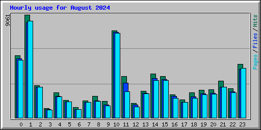 Hourly usage for August 2024