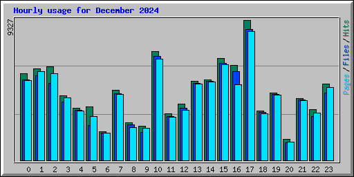 Hourly usage for December 2024