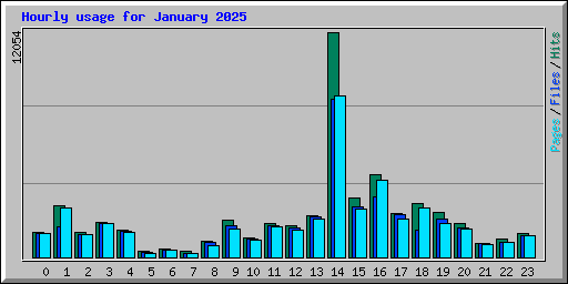 Hourly usage for January 2025