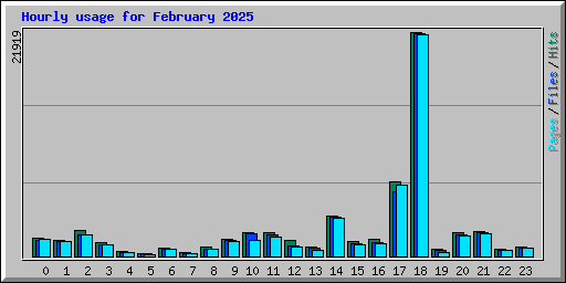 Hourly usage for February 2025