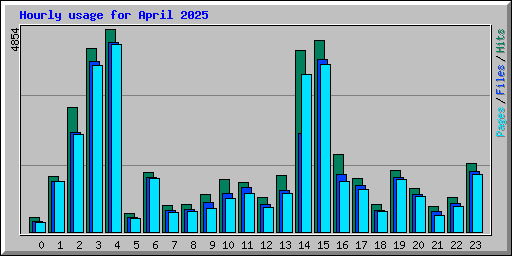 Hourly usage for April 2025