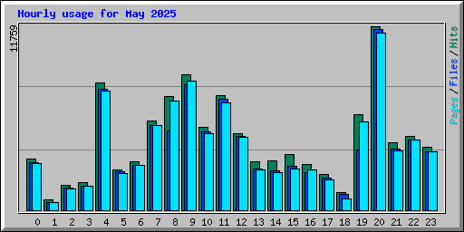 Hourly usage for May 2025