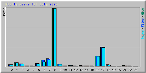 Hourly usage for July 2025