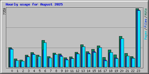 Hourly usage for August 2025