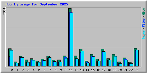 Hourly usage for September 2025