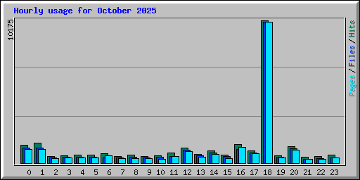 Hourly usage for October 2025