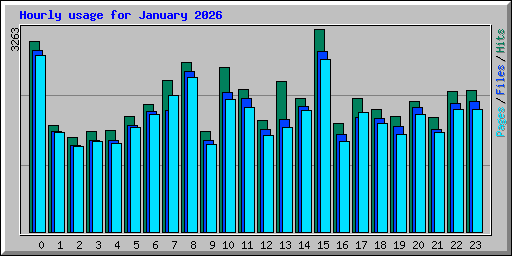 Hourly usage for January 2026