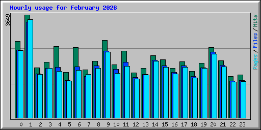 Hourly usage for February 2026